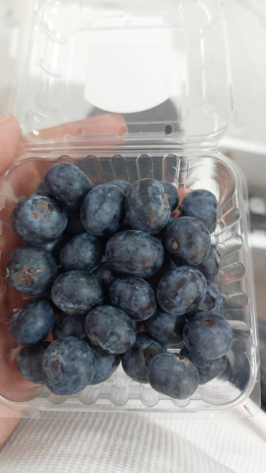 تصویر 2 از خرید بلوبری درجه‌ یک مناسب مصرف تازه‌ خوری و شیرینی‌ پزی