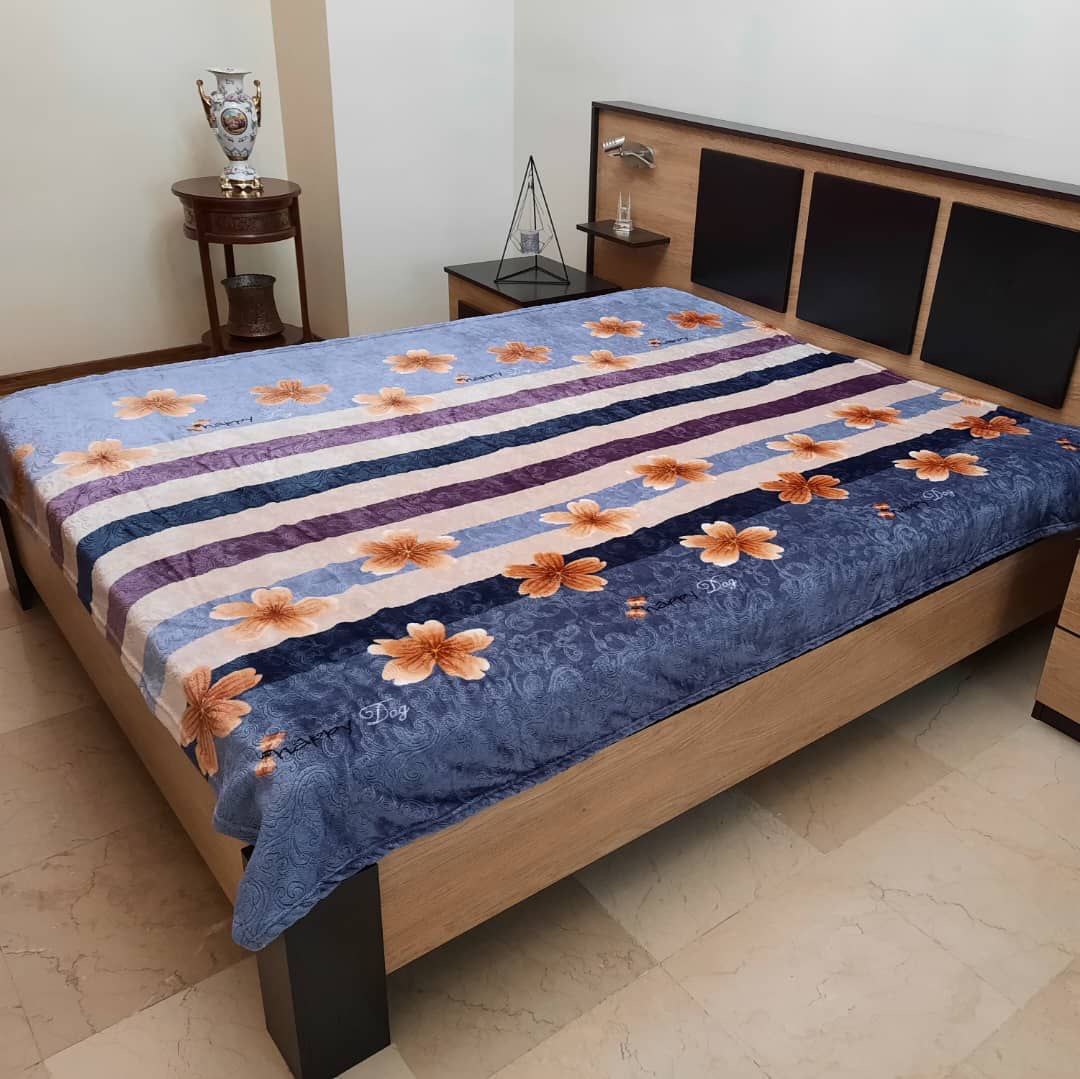 تصویر 2 از تامین مستقیم از نمایندگی و قیمت مناسب پتو بالن ابریشمی تک نفره