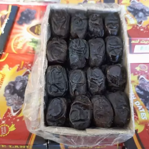 صادرات خرمای مضافتی به روسیه و اروپا عمده