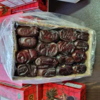 تصویر 3 از پخش عمده خرمای مضافتی صادراتی تازه امسال