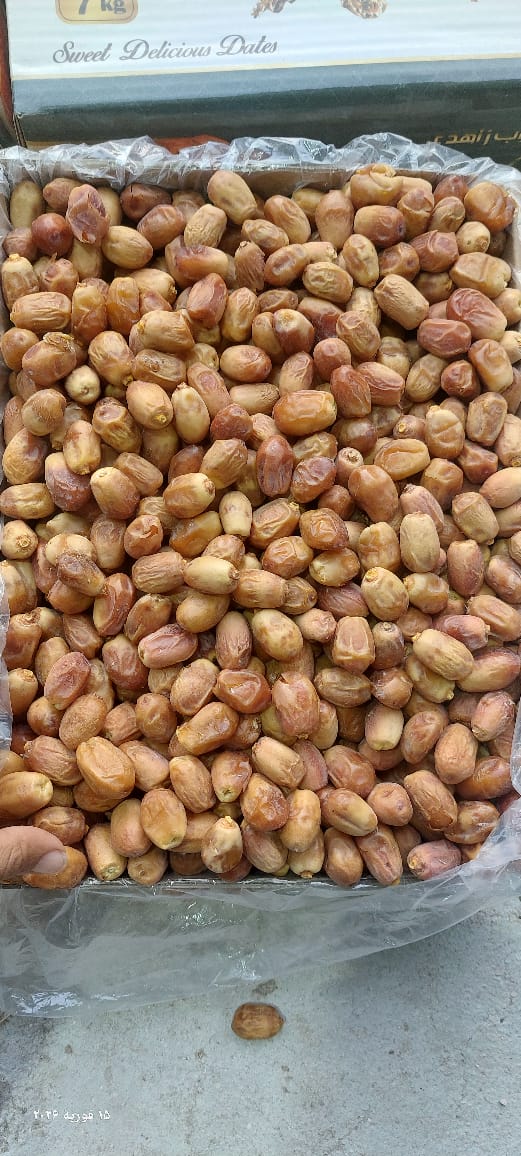 تصویر 2 از قیمت انواع خرمای قصب درجه یک خشک  داخلی صادراتی