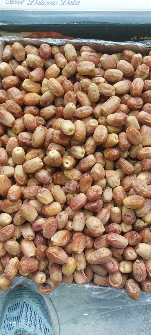 تصویر 1 از قیمت انواع خرمای قصب درجه یک خشک  داخلی صادراتی