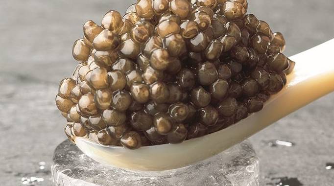 تصویر 1 از خاویار بلوگا با کیفیت و ارزش غذایی بالا