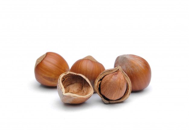 خرید فندق شور