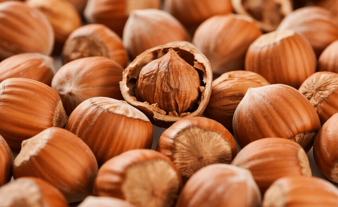 فندق اقتصادی با قیمت مناسب و کیفیت خوب