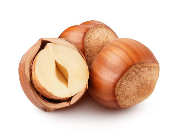 تصویر 4 از فندق صادراتی با شرایط استثنایی و ویژه