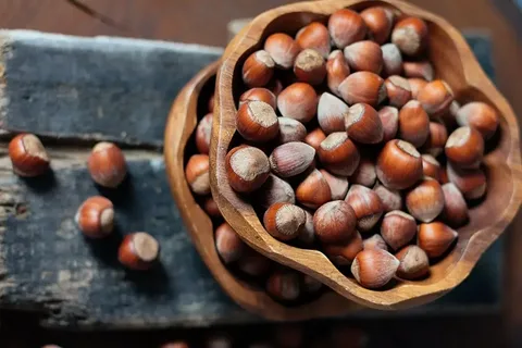 مغز فندق برای شیرینی پزی انتخابی مطمئن