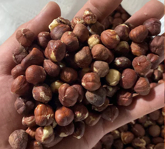 تصویر 4 از مغز فندق برای شیرینی پزی انتخابی مطمئن