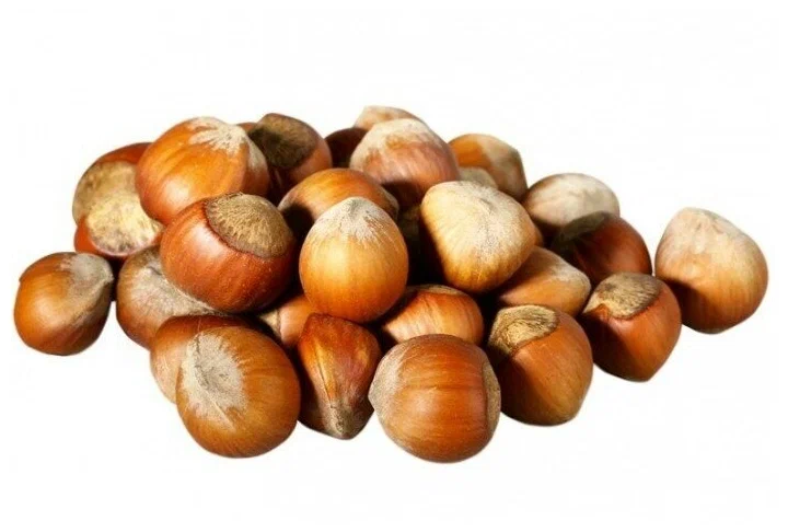 تصویر 1 از فندق خام درجه یک با شرایط عالی