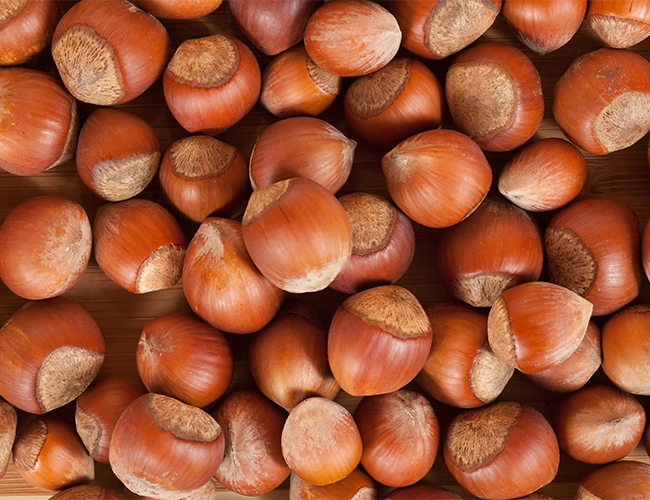 تصویر 2 از فندق تازه برداشت شده در حجم بالا