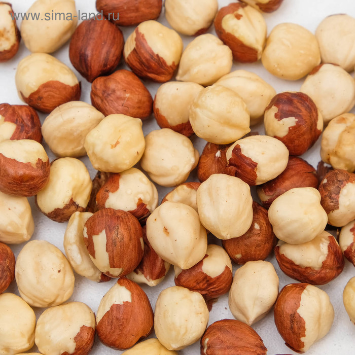 تصویر 4 از فندق خام وارداتی با کیفیت تضمینی