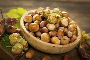 تصویر 4 از فندق خام تازه با کیفیت عالی مناسب پذیرایی