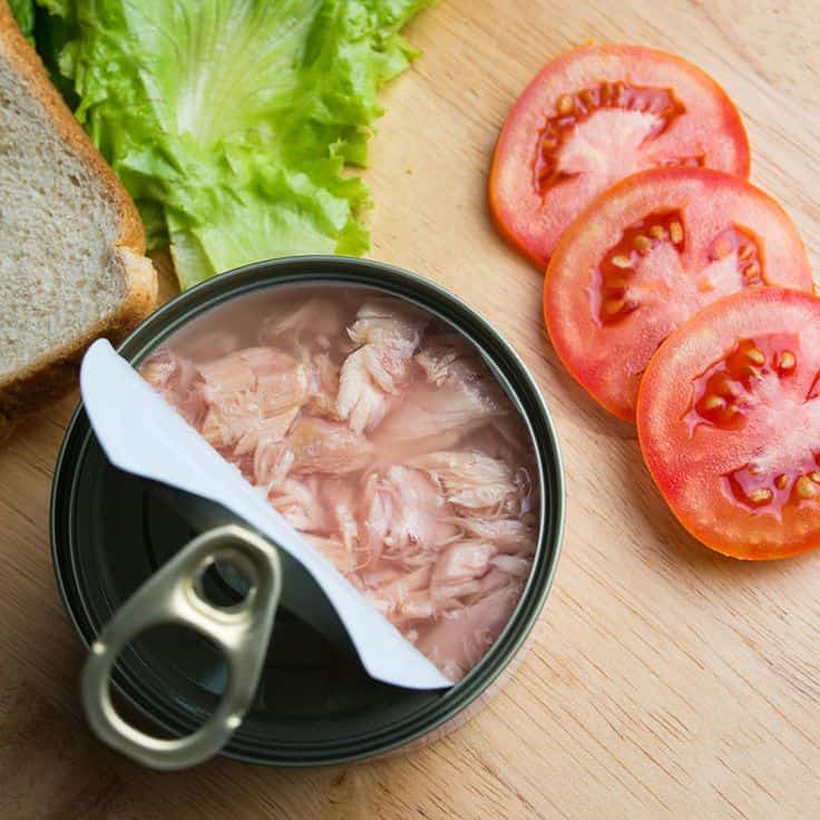 تصویر 1 از تن ماهی رژیمی با کیفیت عالی + طعم بی‌ نظیر