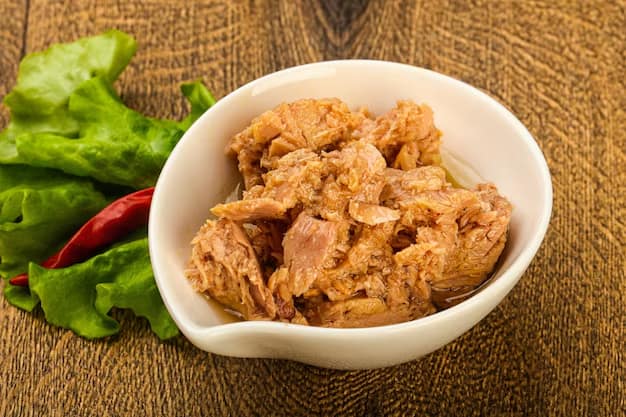 تصویر 2 از تن ماهی رژیمی با کیفیت عالی + طعم بی‌ نظیر