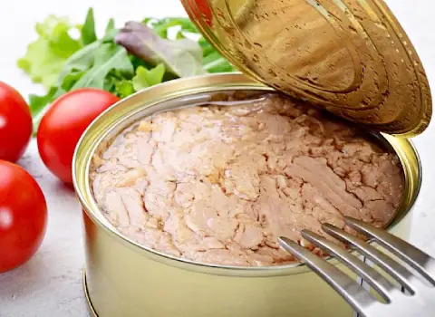 تصویر 4 از تن ماهی زیتونی صادراتی با کیفیت تضمینی