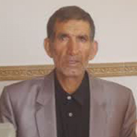 محمد گودرزی