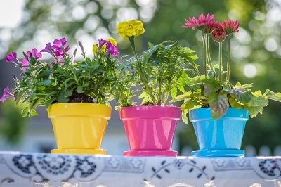 گلدان پلاستیکی در کمال آباد + قیمت خرید و فروش عمده