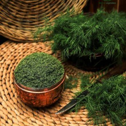 خواص شوید خشک مرغوب + قیمت خرید