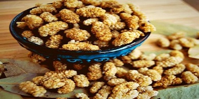 فروش فوق العاده توت خشک ممتاز