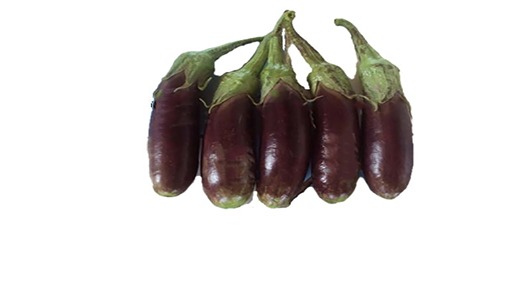 بادمجان ارکانیگ تازه