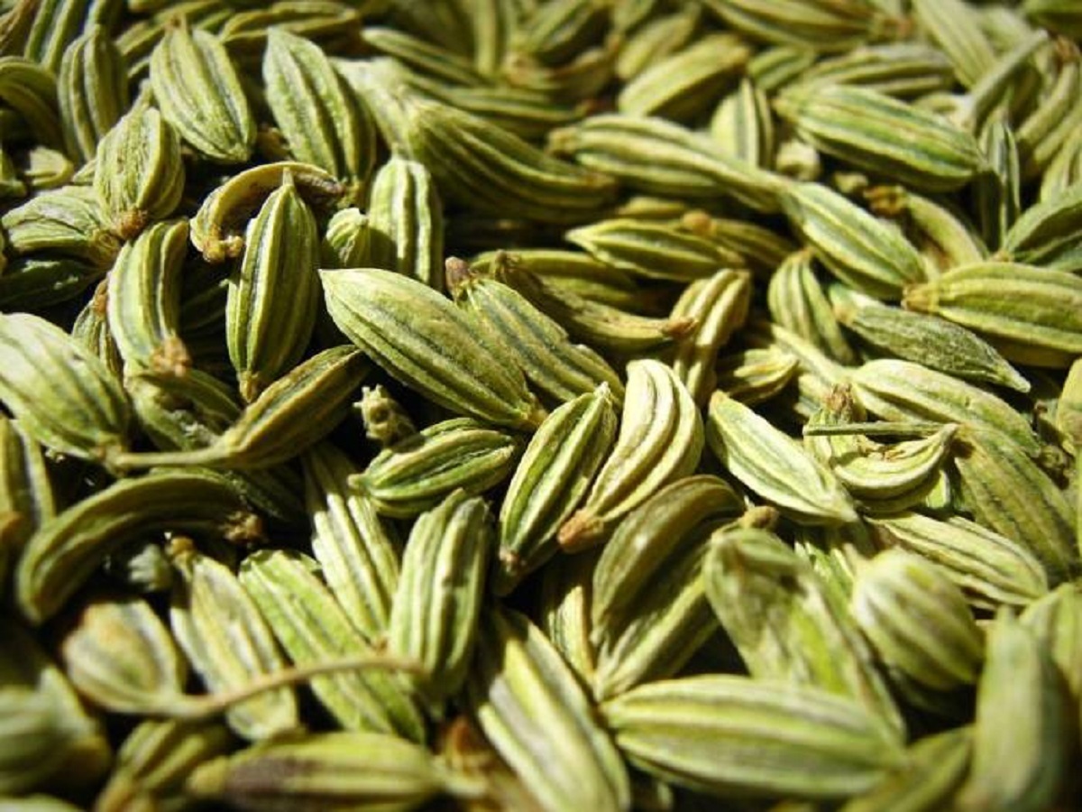خرید زیره سبز سورت تربت جام