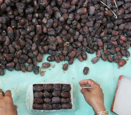 خرما مضافتی دهکده پانی ممتاز ویژه مصرف روزانه